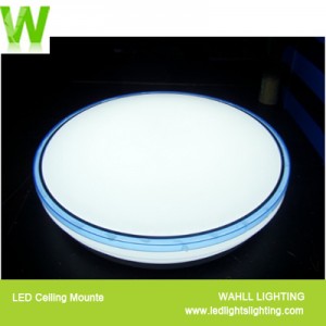 Ceiling Light Color Cap