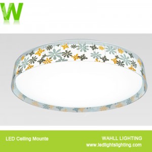 Ceiling Light Flower Border