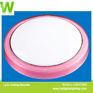 Ceiling Light Wide Border